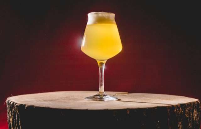 Levadura de cerveza engorda